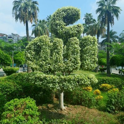 nasef_sam's profile picture. مسلم سنى حنفى المذهب