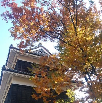 sinjyokun's profile picture. 好きなもの:ペルソナ3、終わりのクロニクル、MSSP、船長とスバル