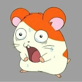 hampote3917's profile picture. 前垢→@potatoooo_39∥新垢いらっしゃい