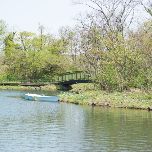 Natureandfocus's profile picture. 네떡 서버 스토리지 IT 덕질 잡담