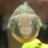 あららんのアイコン