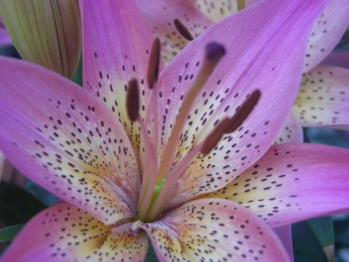 MoriGardens's profile picture. Mori offers you an outdoor experience that will leave you feeling a greater love for nature. We're not out of the way, just out of the ordinary.