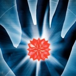 LubitzStephen's profile picture. 