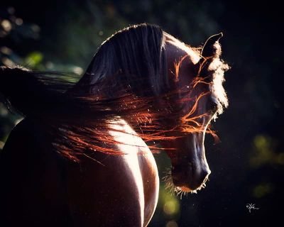 OhZJ8ktMPTaJ4Et's profile picture. ‏"كان كل شيء واضحًا، لكننا لا نفهم بالإشارات
إننا نفهم بالصفعات"