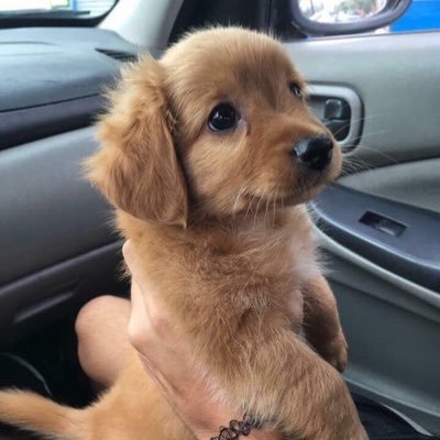 MyYenly's profile picture. 