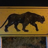 ดูอยู่ๆๆ (@x5opp7tmlj47i13) 's Twitter Profile Photo