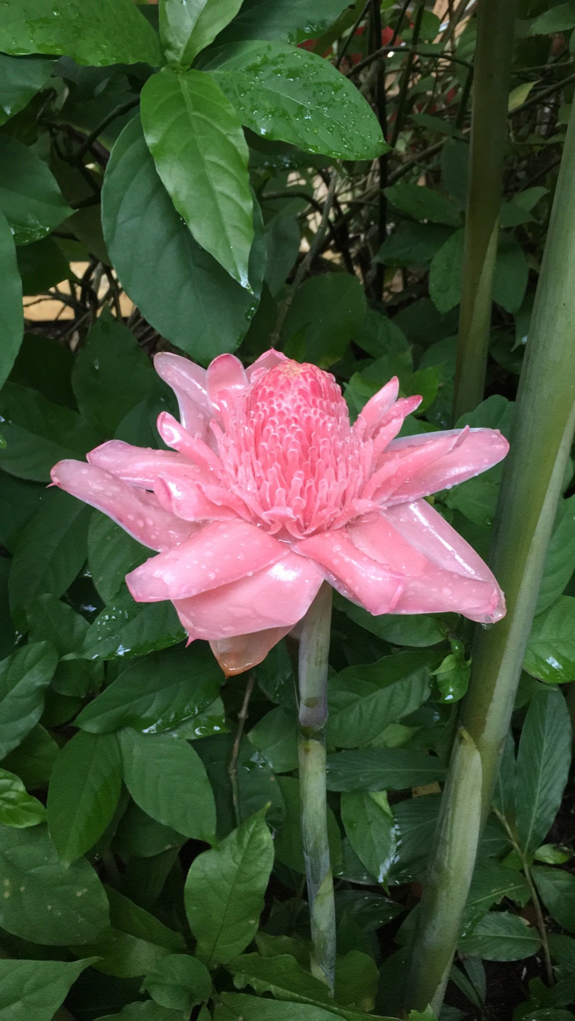 Clia40468151's profile picture. 