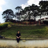 Rand Xie (@randxie29) 's Twitter Profile