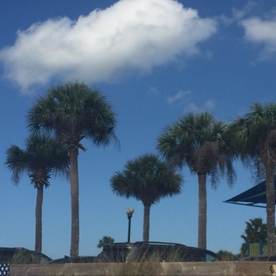 Crazy teacher who is waiting to retire to where the palm trees grow.