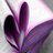 _ItsMyDiary's profile image