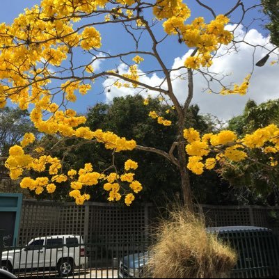 ckk04536212's profile picture. 