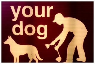 charles_bissell's profile picture. Formerly 'world's only full-time wren, sadly'. Now largely retired.