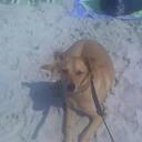 Brian Stocker - @bstocker11 - Twitter