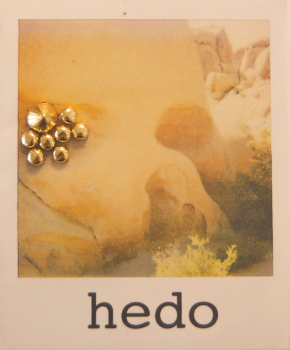 Hedo_Brooklyn's profile picture. Brooklyn based women's contemporary line inspired by deconstructed art deco using unabashed shapes and subtle details in the form of sculptural folds and pleats