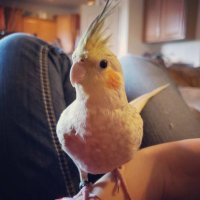 Josie Johnson (@josiejjj123) 's Twitter Profile