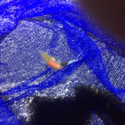 yuji19770223's profile picture. 