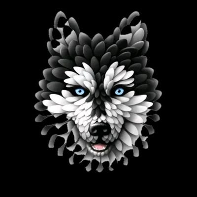 haruna_idrees_'s profile picture. RIJP  my parents💑
football adict⚽
simple and unique 😎