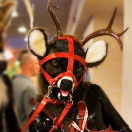 Fuckin Rubber Deer @rubberdeer.bsky.social