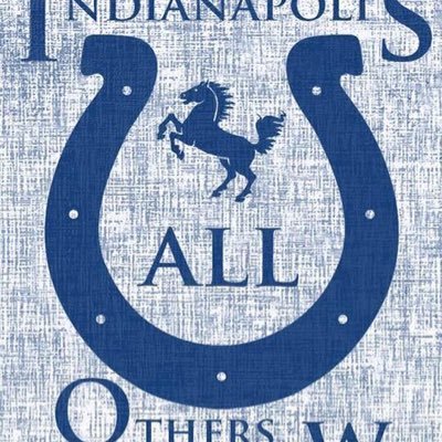 KevinVo61918724's profile picture. Disney Parks NFL