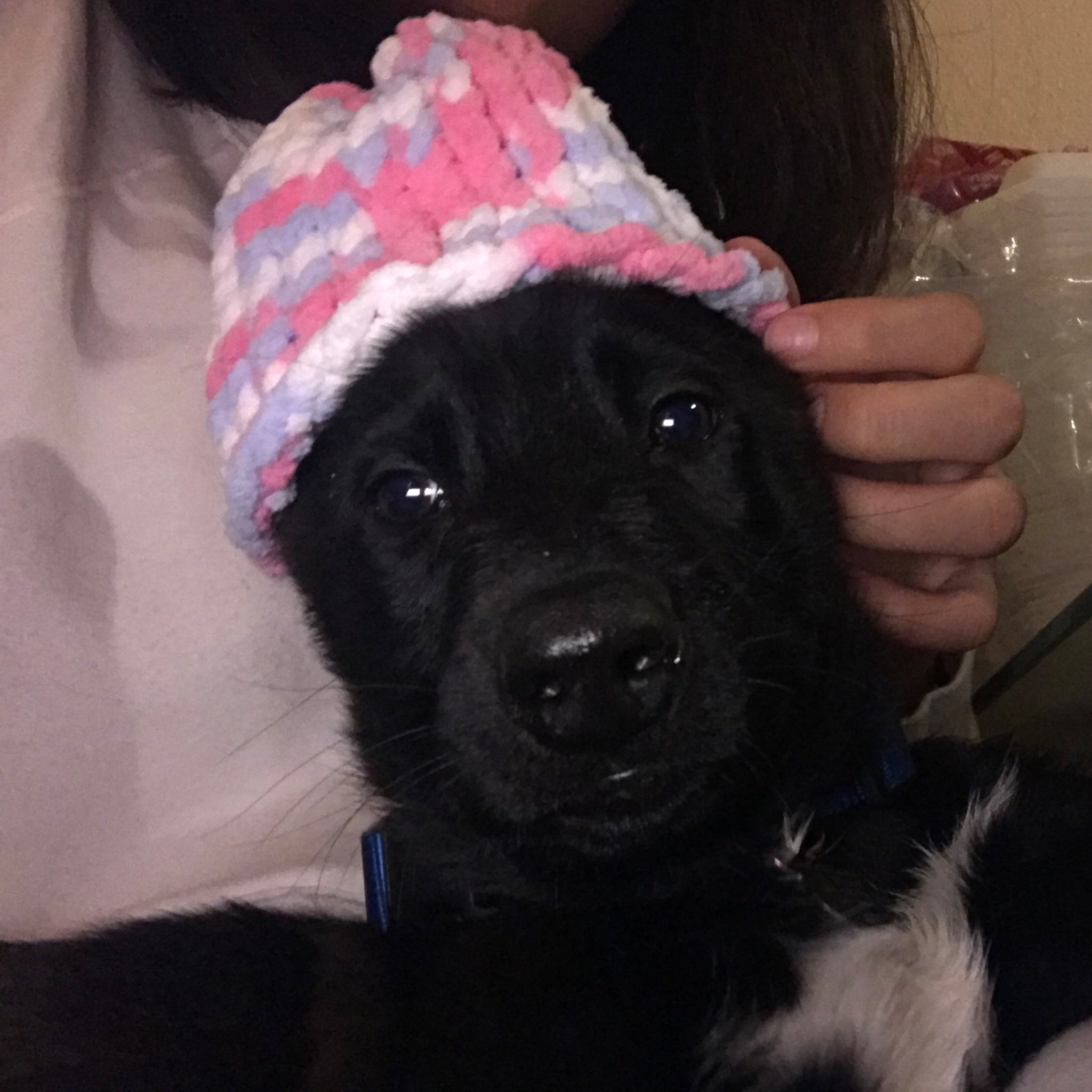 thethuggo's profile picture. Yee haw