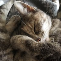 Victoria Creanor 💙 (@victoriacreanor) 's Twitter Profile Photo Victoria Creanor 💙 (@victoriacreanor) 's Twitter Profile Photo