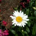 CHRISTY STRINGER - @ChristyAnn1974 - Twitter