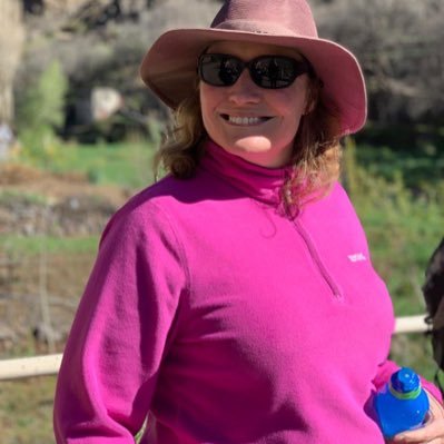 kerklawley's profile picture. MA student, Senior Teaching Fellow, HR, tourist, Mum, Wife, Big sister, daughter, Morris dancer, EU know it makes sense 🇪🇺🇪🇺 I have opinions x