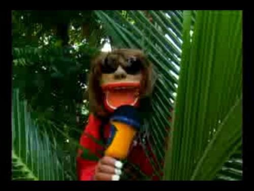 pablo_peter's profile picture. O melhor cantor latino da atualidade!