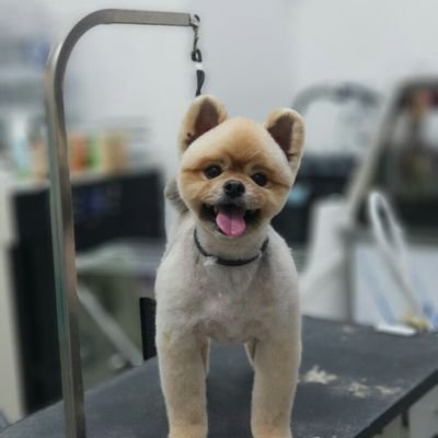 vonjae1's profile picture. 