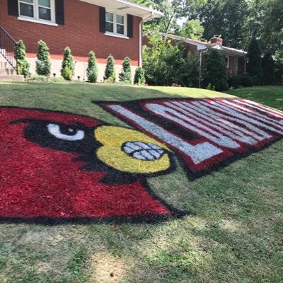 I follow UofL fans and other interesting people and yes, that was my yard #L1C4 #GoCards #CardsYard “We watchin’ or nah?”