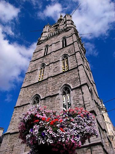 I miss Belgium.  Facebookでは吐けない毒をTwitterで…