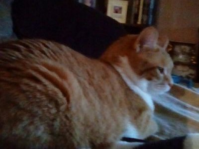 SusanCo16730470's profile picture. 