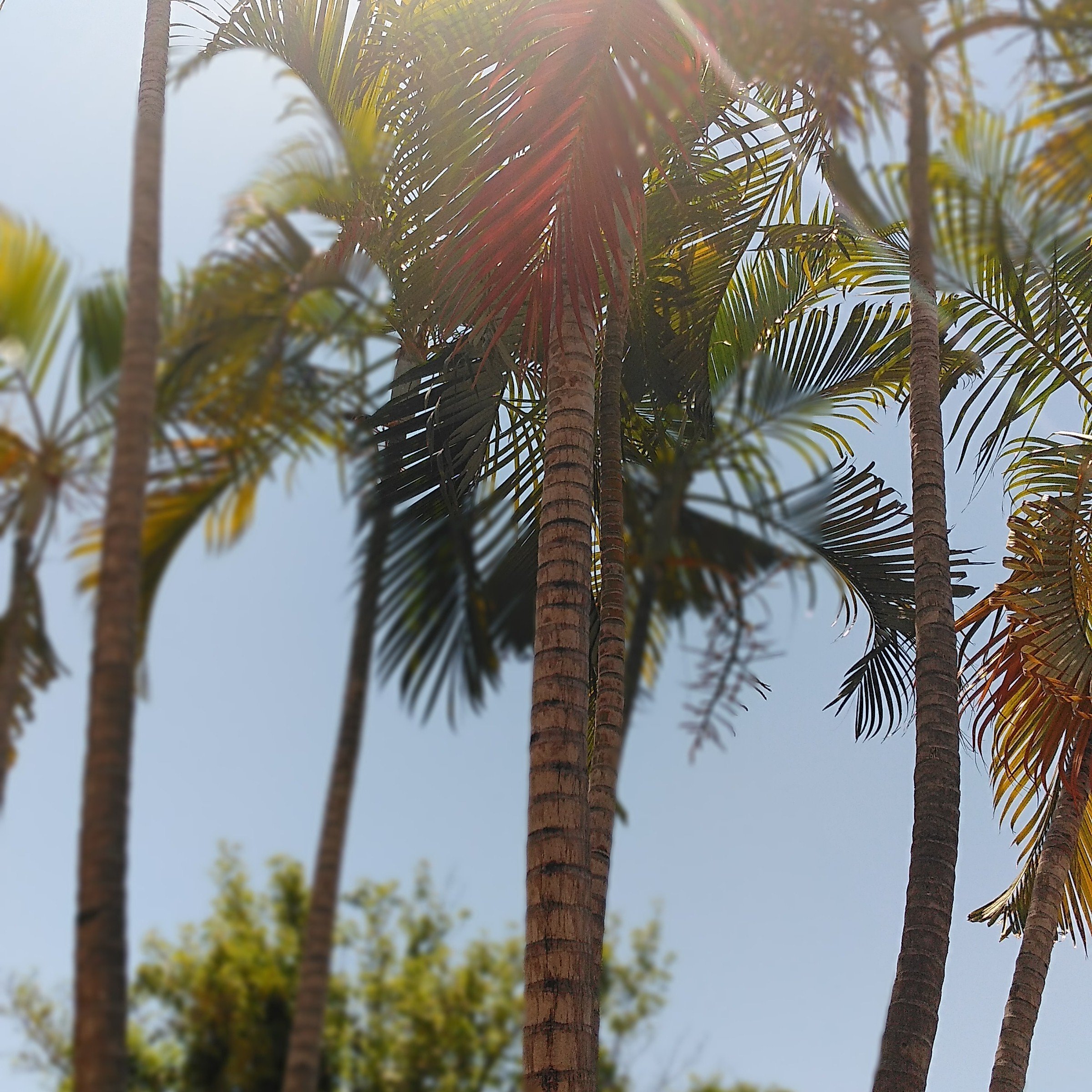 4_lejandro's profile picture. 