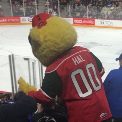 GoMooseGo902's profile picture. GoMooseGo