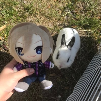 りっち★ガイ(´ω`)は色んな推しに狂わされてるさんのプロフィール画像