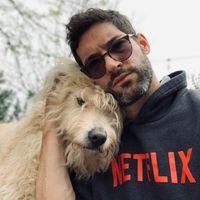 togivexp's profile picture. 