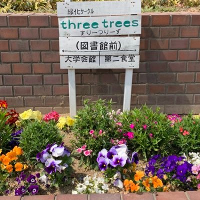 岐阜大学緑化研究会 three trees（スリーツリーズ）の公式アカウントです。毎週水曜13:00からのんびりまったり活動してます！図書館前やバス停前の花の植え替えや花壇の手入れをしてます🌼