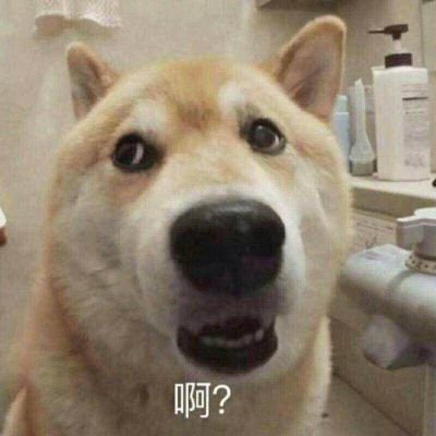 lin838180535's profile picture. 