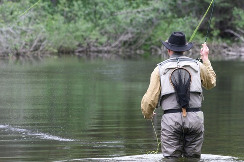 Non profit tourism agency responsible for marketing tourism sectors and products in northern British Columbia. We want to share info about fishing in the north.