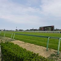 競馬歴約30年ちょいのオッサンです。競馬場で初めて見たレースはオグリキャップの引退レース有馬記念。ほぼ重賞しか予想してませんが宜しくお願いします