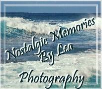 Nostalgic Memories by Lea Photography for the discriminating client.
Danny Couch Fanaddicts Fan Appreciation website for Hawaiian Singing Sensation Danny Couch