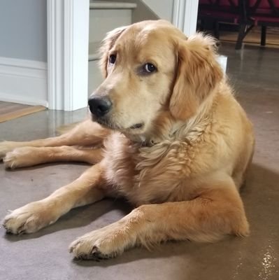 MrJive5's profile picture. Twisted