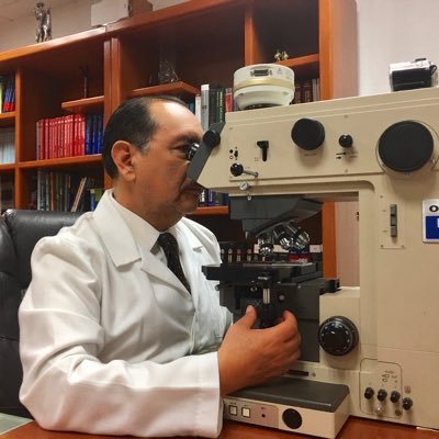 Oncopathologist. Director of Department of Pathology, Hospital Lomas de San Luis Internacional y Hospital de Especialidades Médicas de la Salud.