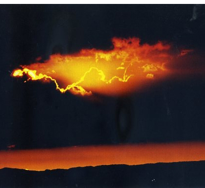 ankorokoro's profile picture. 甘党だが食べてはいけない