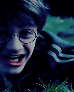 Twitter dedicado a todos os fãs da maravilhosa série Harry Potter.