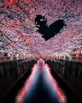 ElyLegaspi3's profile picture. divertida