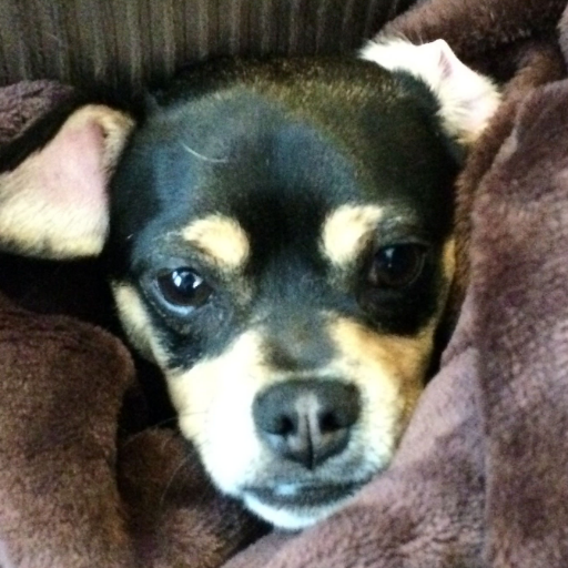 greenboyzed's profile picture. Trade of all Jacks