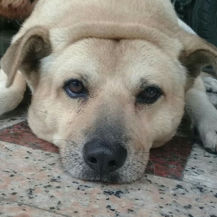 haxWvBPrcP9F1z8's profile picture. Dxfdsx