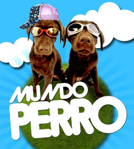 Mundo Perro es un espacio para compartir todo lo relacionado con nuestras queridas mascotas. ¿Tienes un perro? ¿Tu perro tiene perfil de Twitter? ¡Sumalo!