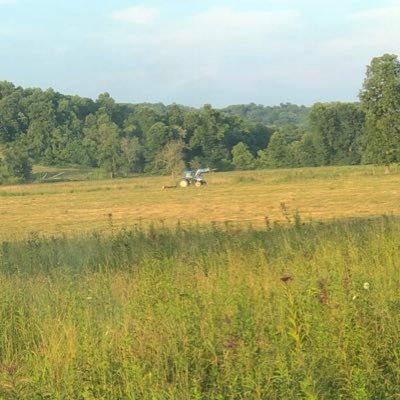 JamesSchockling's profile picture. 